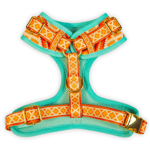 Desert Dream Harness