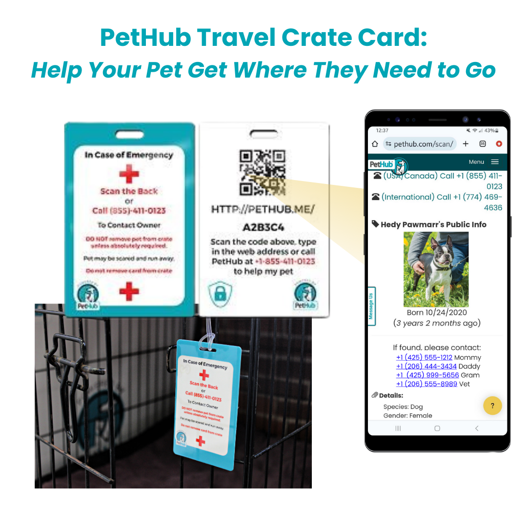 PetHub QR Pet ID Comprehensive ReadyKit – Complete Emergency Kit