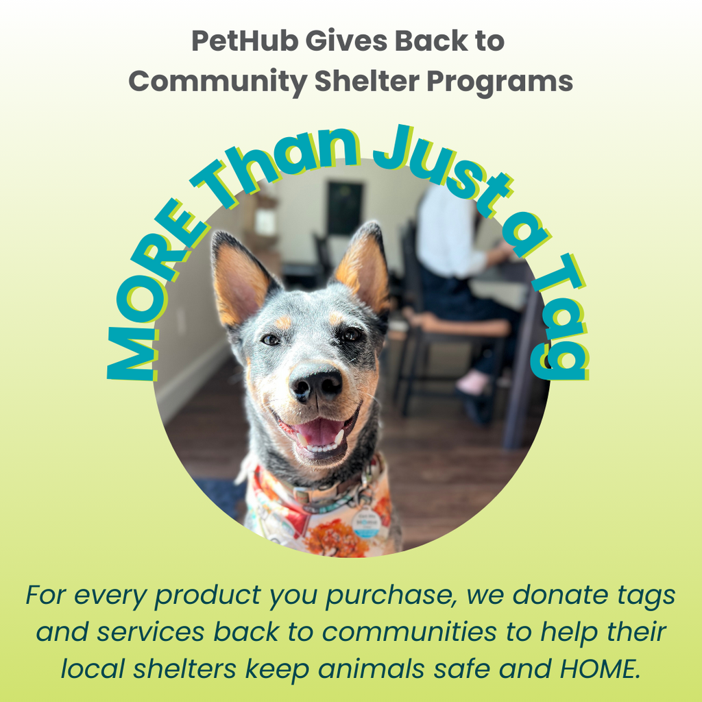 PetHub QR Pet ID Comprehensive ReadyKit – Complete Emergency Kit