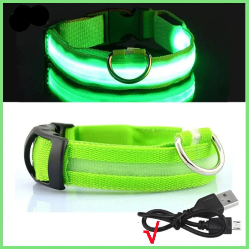 LED Pet Dog Collar for Night Safety | Bright USB Rechargeable