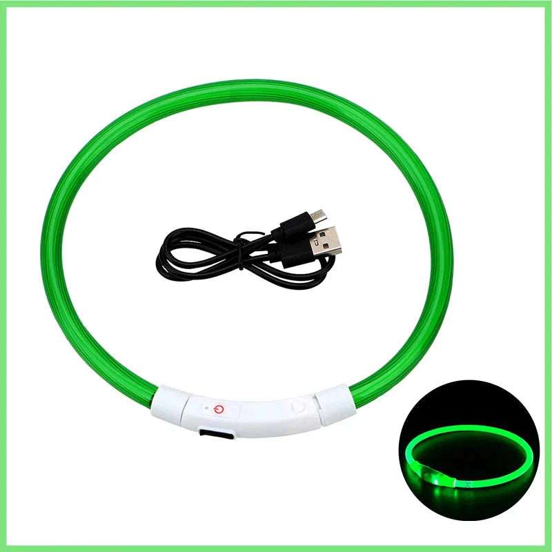 LED Pet Dog Collar for Night Safety | Bright USB Rechargeable