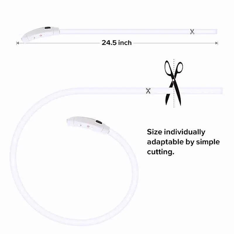 LED Pet Dog Collar for Night Safety | Bright USB Rechargeable