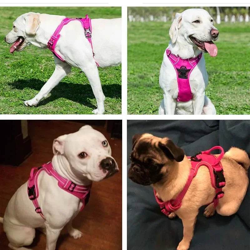 Reflective Adjustable Pet Dog Harness for All Sizes