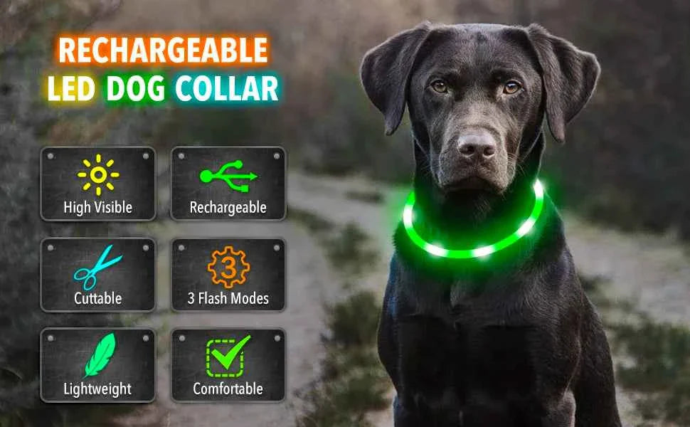 LED Pet Dog Collar for Night Safety | Bright USB Rechargeable