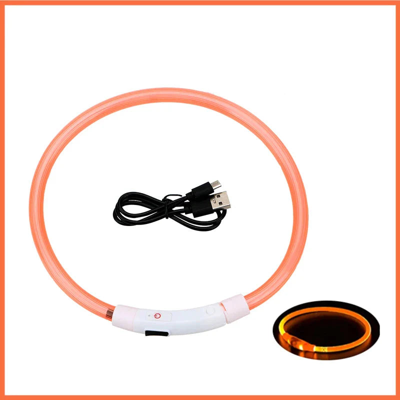 LED Pet Dog Collar for Night Safety | Bright USB Rechargeable
