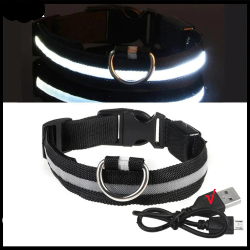 LED Pet Dog Collar for Night Safety | Bright USB Rechargeable