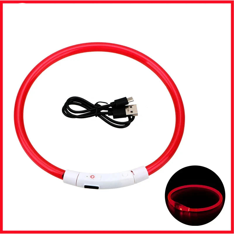 LED Pet Dog Collar for Night Safety | Bright USB Rechargeable
