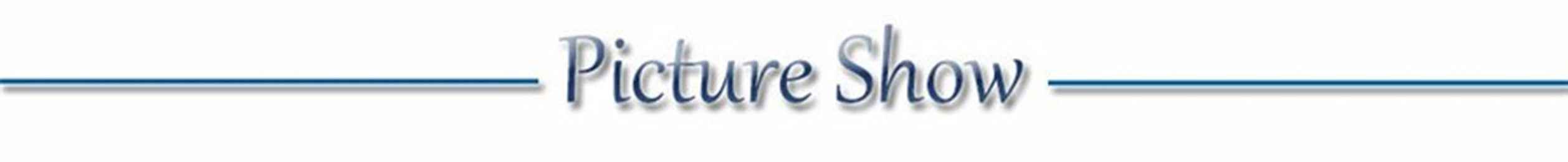 LED Pet Dog Collar for Night Safety | Bright USB Rechargeable