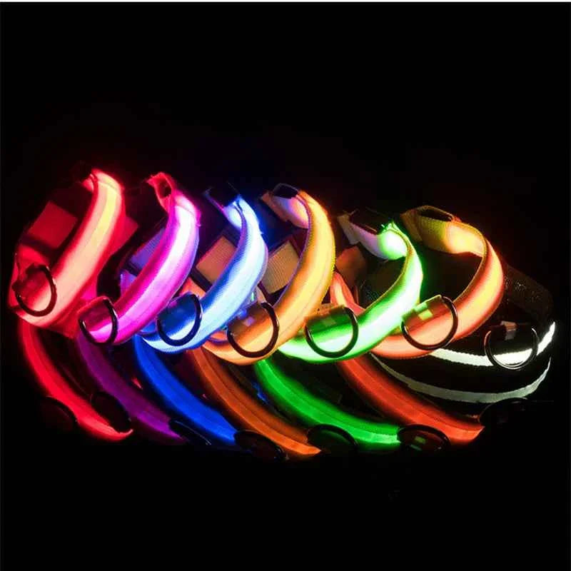 LED Pet Dog Collar for Night Safety | Bright USB Rechargeable