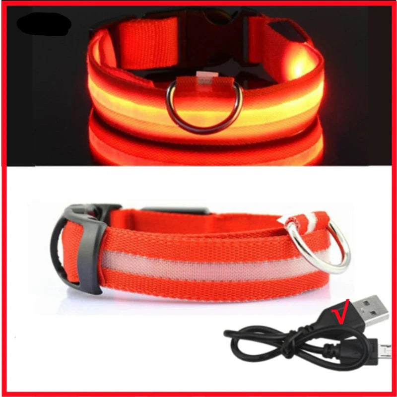LED Pet Dog Collar for Night Safety | Bright USB Rechargeable