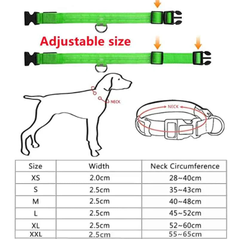 LED Pet Dog Collar for Night Safety | Bright USB Rechargeable