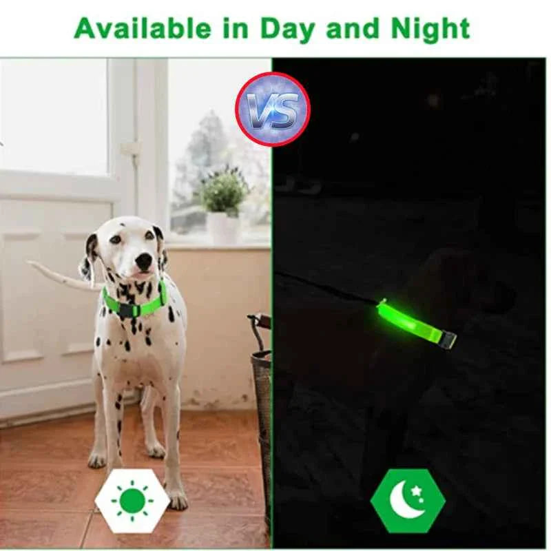 LED Pet Dog Collar for Night Safety | Bright USB Rechargeable