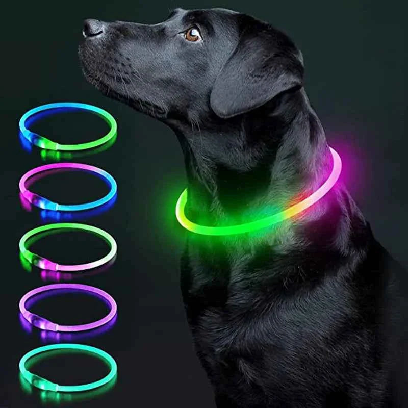 LED Pet Dog Collar for Night Safety | Bright USB Rechargeable