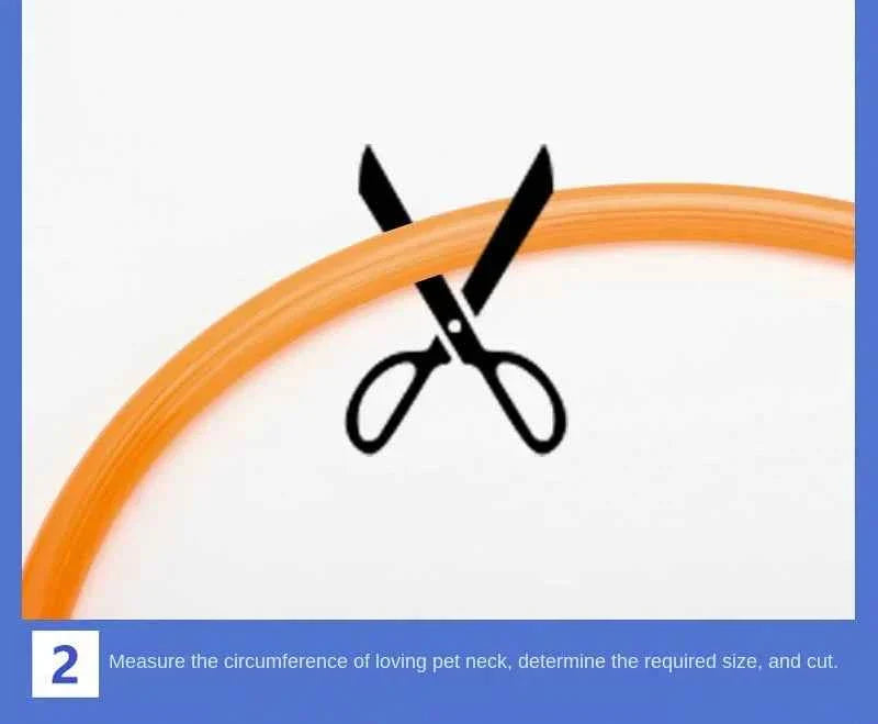 LED Pet Dog Collar for Night Safety | Bright USB Rechargeable