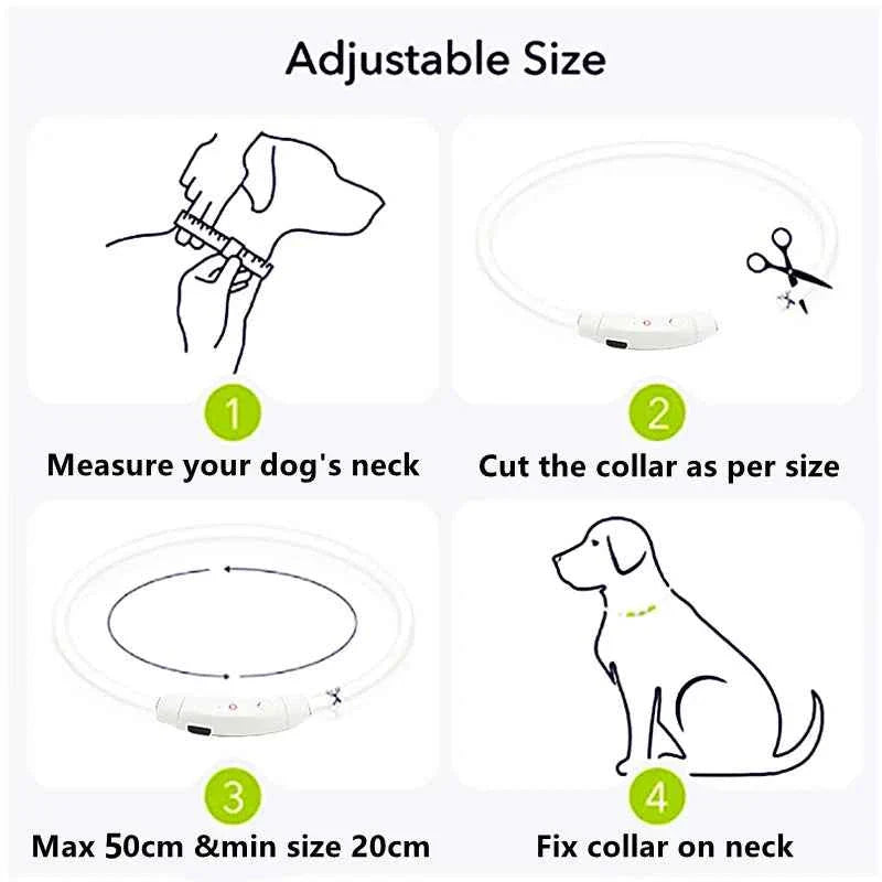 LED Pet Dog Collar for Night Safety | Bright USB Rechargeable