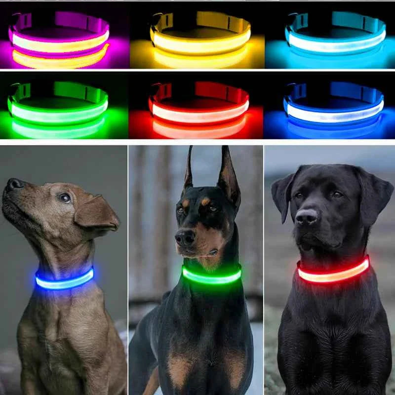 LED Pet Dog Collar for Night Safety | Bright USB Rechargeable
