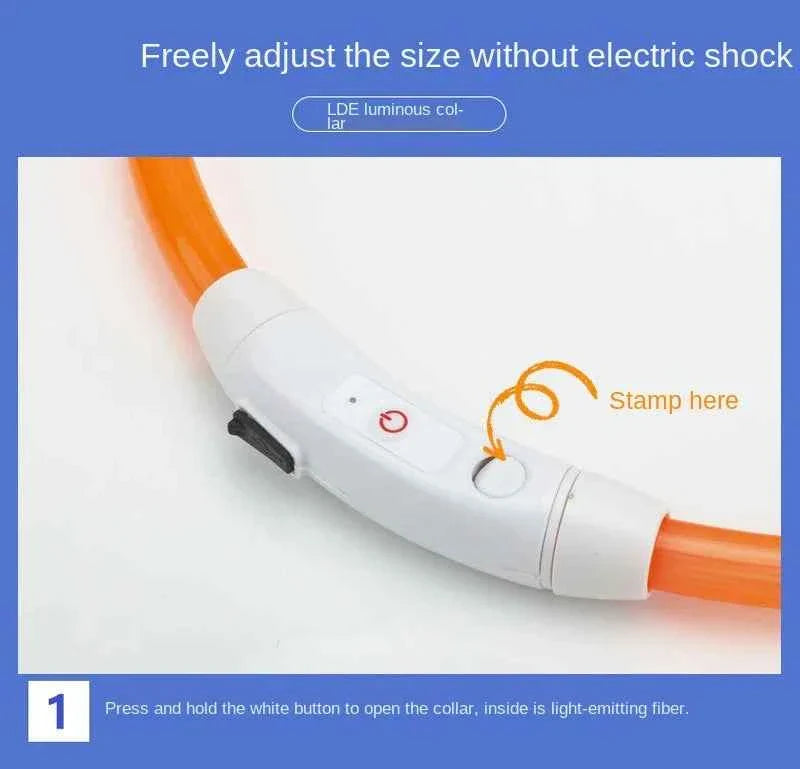 LED Pet Dog Collar for Night Safety | Bright USB Rechargeable