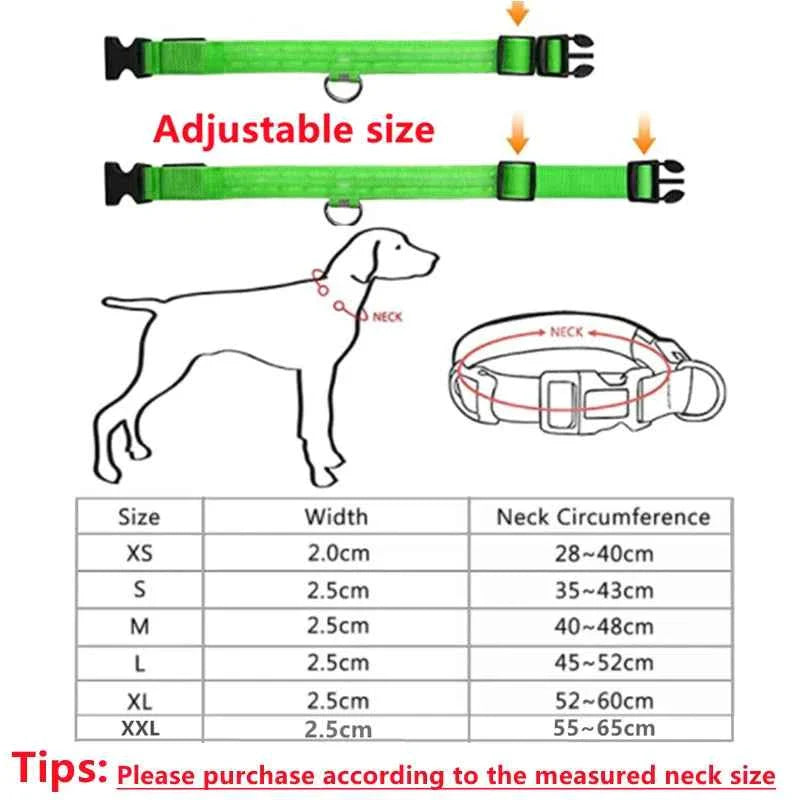 LED Pet Dog Collar for Night Safety | Bright USB Rechargeable