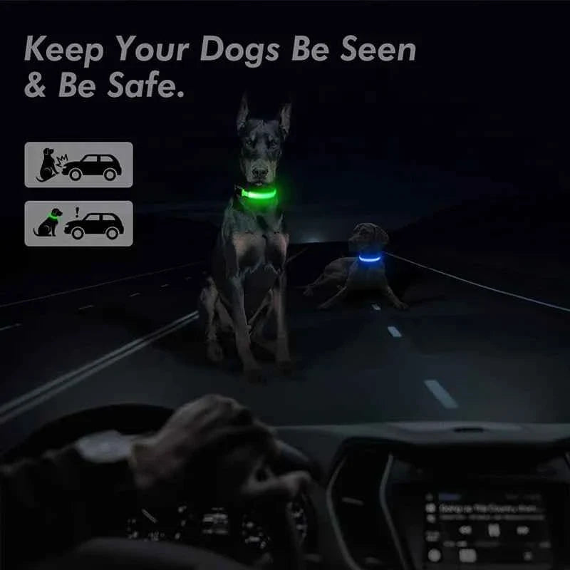 LED Pet Dog Collar for Night Safety | Bright USB Rechargeable