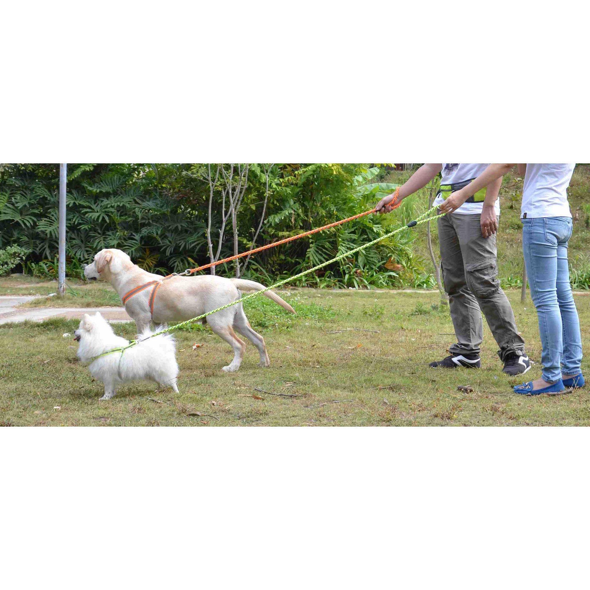 Pet Life ® 'Easy Tension' Reflective Stitched Adjustable 2-in-1 Pet Dog Leash and Harness